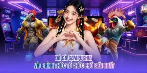 Đá Gà Campuchia Và 6 Hình Thức Tổ Chức Phổ Biến Nhất