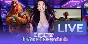 Đá Gà Trực Tiếp - Bí Quyết Theo Dõi Cá Cược Thắng Lớn