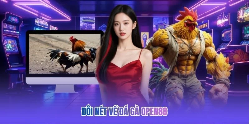 Đôi nét về đá gà OPEN88