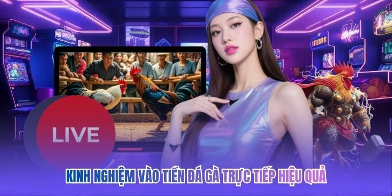 Kinh nghiệm vào tiền đá gà trực tiếp hiệu quả