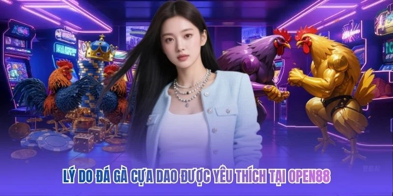 Lý do đá gà cựa dao được yêu thích tại OPEN88